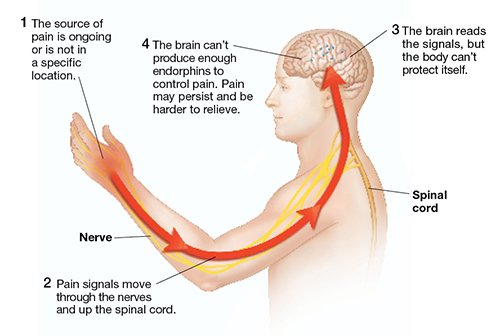PRP injection treatment and consultation process